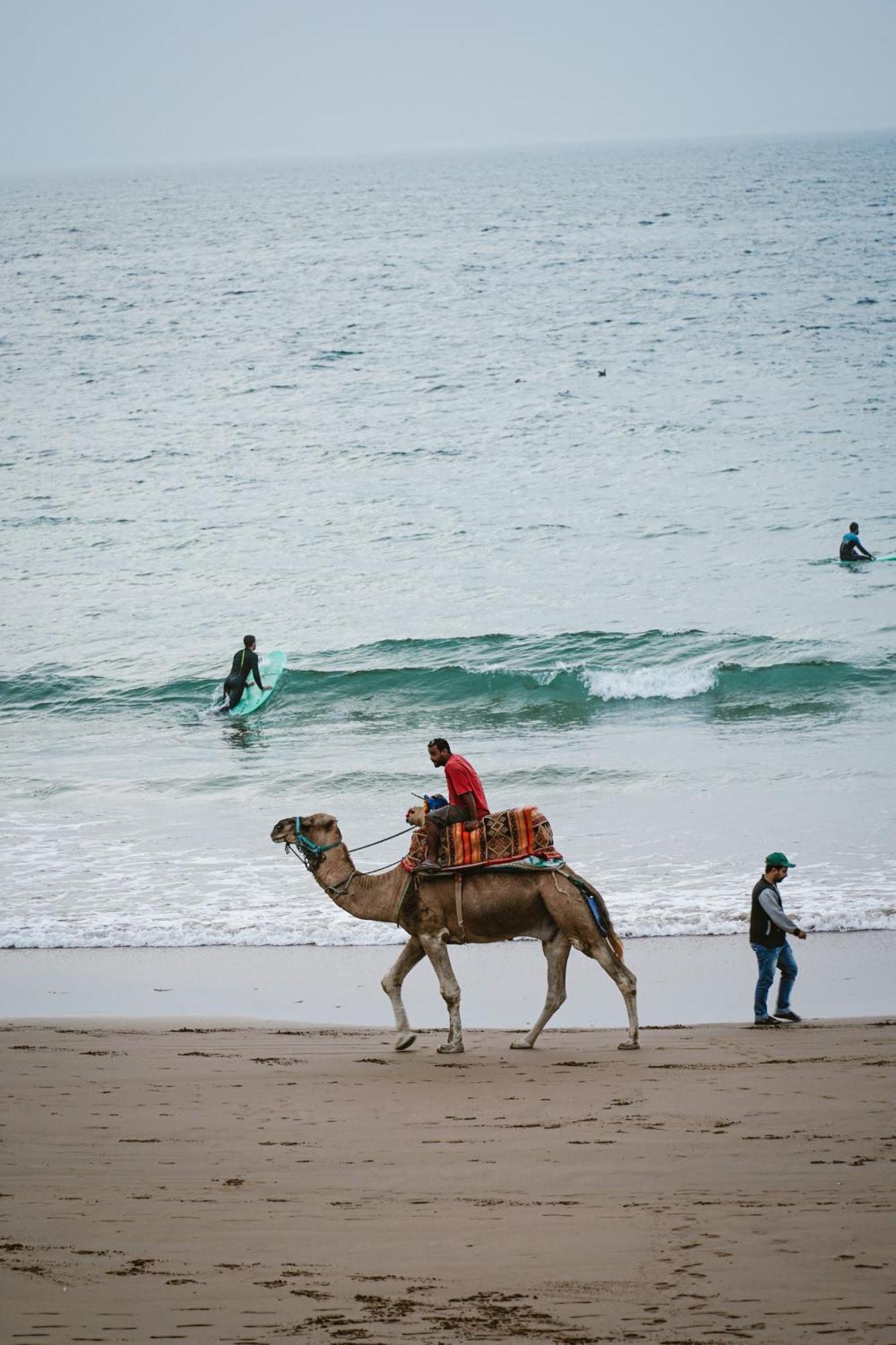 Dar Sultana Guesthouse Surf Morocco Tamraght Exterior foto